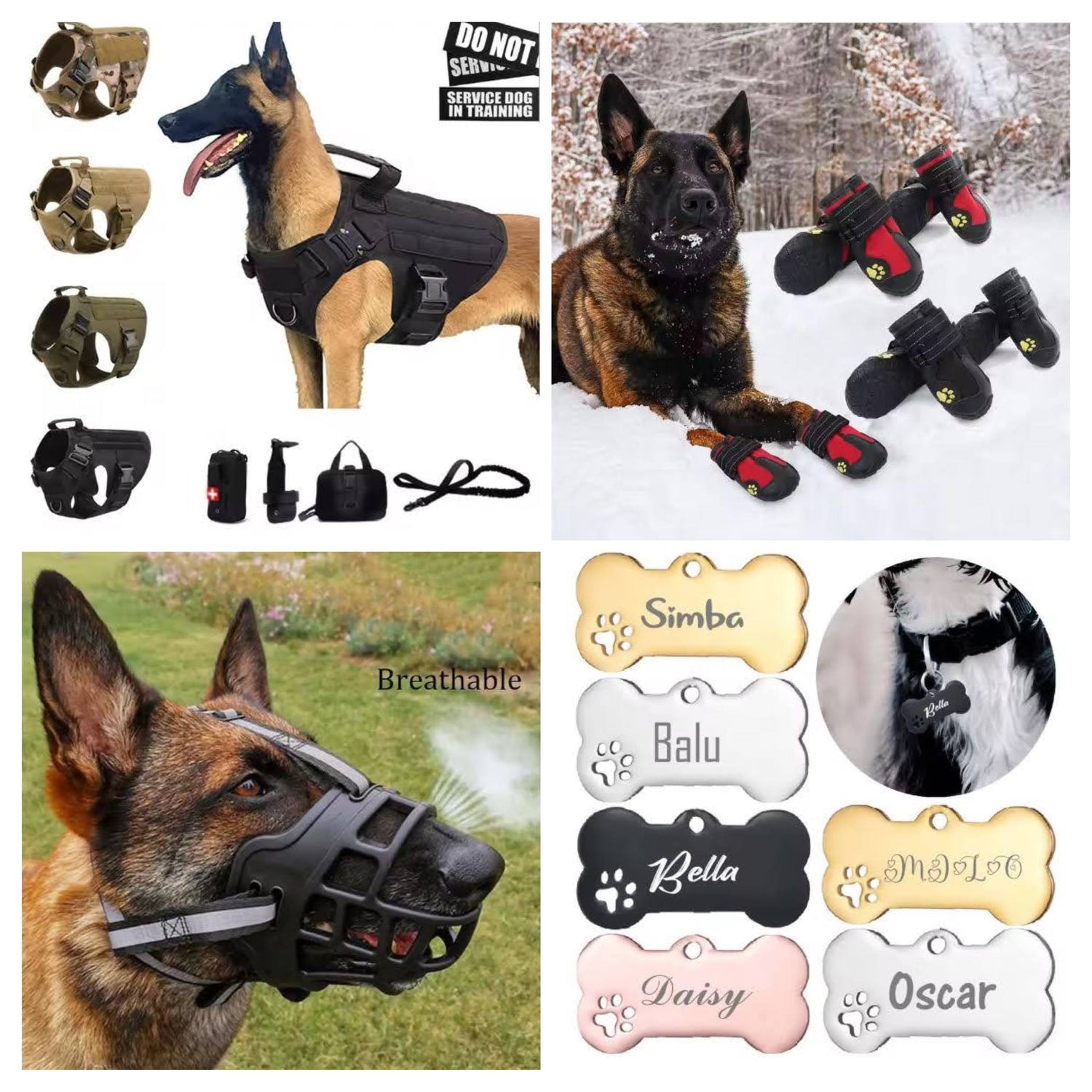 Accessoires pour chiens