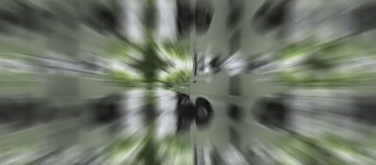 Camion télécommandé